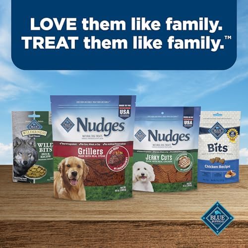 Blue Buffalo Nudges Grillers Natural Dog Treats, Made in the USA with Real Chicken, 16-oz Bag