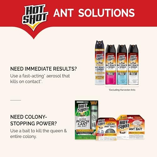 Hot Shot MaxAttrax Ant Bait, 0.07 oz Bait Stations, 4 Count, 12 Pack