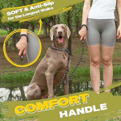 Fida Durable Slip Lead Dog Leash, 6 FT x 1/2" Heavy Duty Dog Loop Leashes, Comfortable Strong Rope Slip Leash for Large Medium Dogs, No Pull Pet Training Lead with Highly Reflective(1/2", Black)