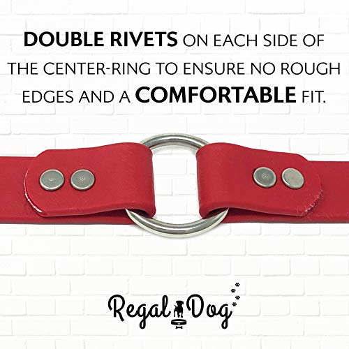Regal Dog Products Small Red with Custom Engraved Waterproof Dog Collar and Leash Set | Waterproof Dog Collar with D Ring | Center Ring & 5'ft Leash | Matching Dog Collar and Leash for Dogs