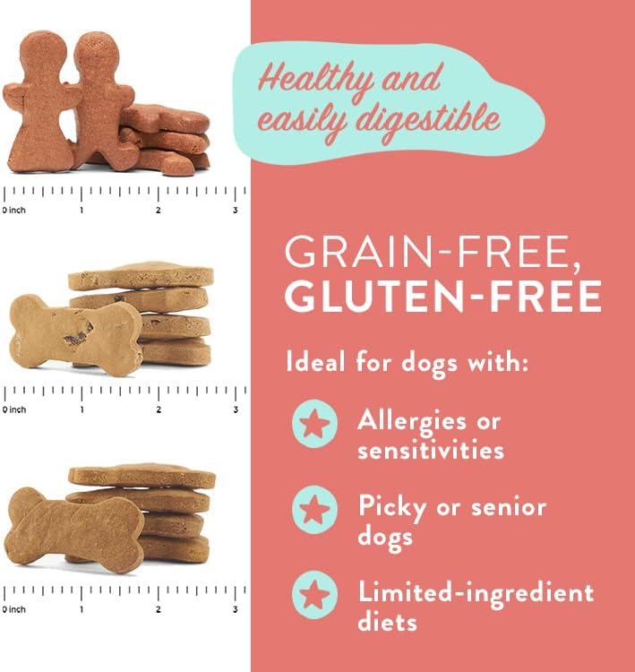 Portland Pet Food Company Natural Dog Treats Variety Pumpkin Gingerbread & Bacon Dog Biscuits - Grain-Free, Human-Grade Healthy Training & Snacks - Puppy, Small, Large Breed - Made in the USA - 3 Pack