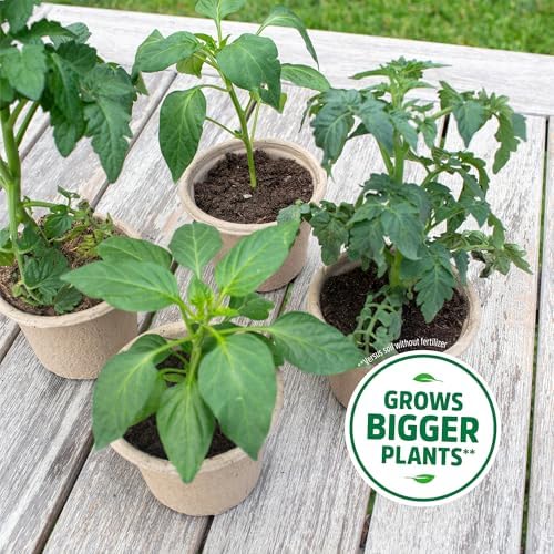 Back to the Roots 3-in-1 Seed Starting Mix 6 Quarts, 100% Organic & USA Made for Herbs, Veggies, Flowers, w/Nutrient Rich Plant Food, Worm-Castings, & Moisture Controlling Yucca Brown