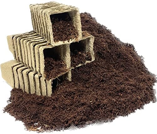 Seed Needs, Culinary Herb Seed Packet Collection Seed Starting Bundle (Includes 12 Individual Seed Packets, 36 Starter Pots & 1 Expandable Coco Coir Brick) Heirloom, Non-GMO, Untreated
