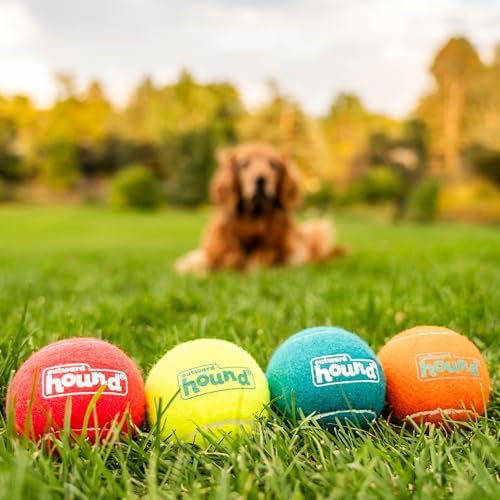 Outward Hound Squeaker Ballz, Interactive Dog Toy, Squeaky Tennis Ball, Durable Dog Toy for Fetch, Multi-Pack of 4, Large