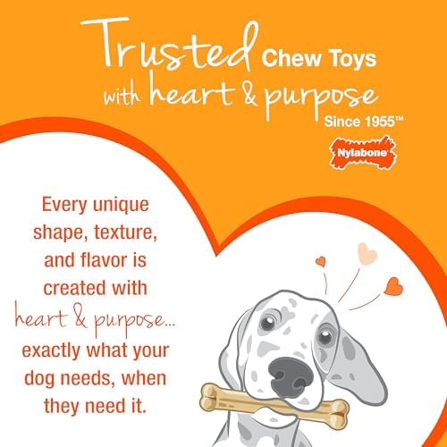 Nylabone Ring Bone Chew Toy for Puppies, Puppy Teething Toys, Puppy Enrichment Toys, Chicken Flavor, Medium Dogs - Up to 35 lbs, 2 Pack