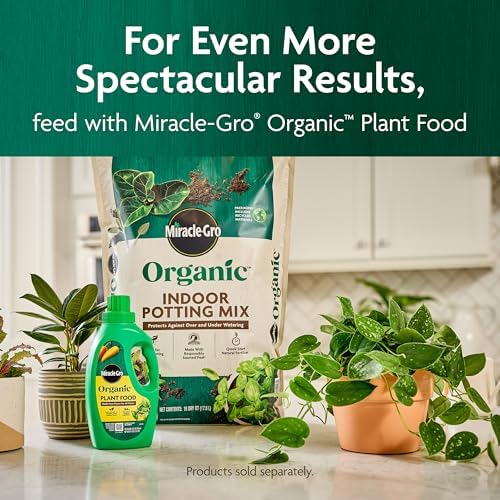 Miracle-Gro Organic Indoor Potting Mix, Protects Against Over and Under Watering, for Indoor Container Plants, Houseplants and Starter Plants, OMRI Listed, 8 qt., 2-Pack