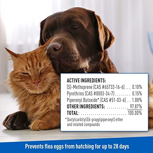 Adams Plus Flea & Tick Shampoo with Precor for Cats, Kittens, Dogs & Puppies Over 12 Weeks Of Age Sensitive Skin Flea Treatment | Kills Adult Fleas, Flea Eggs, Ticks, and Lice| 12 Ounces