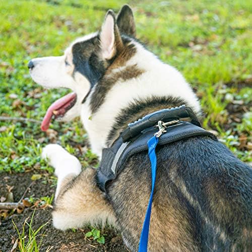 Hi Kiss Dog/Puppy Obedience Recall Training Agility Lead - 15ft 20ft 30ft 50ft 100ft Leash Great for Training, Play, Camping, or Backyard Black