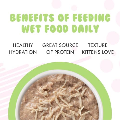 Weruva Kitten, Fur Baby Favorites Variety Pack, 3oz Can (Pack of 12)