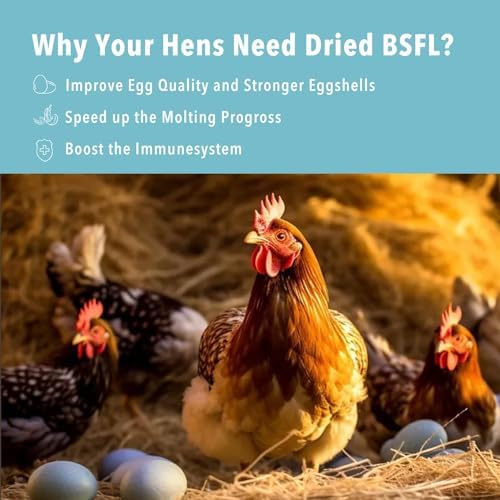 10lb Dried Black Soldier Fly Larvae Treat for Chickens More Calcium Than Mealworms,for Laying Hen,Wild Birds(10 Pound)