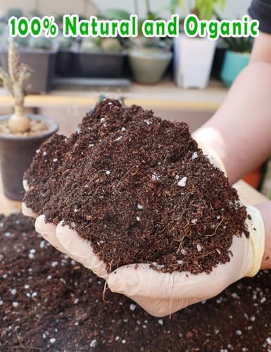 TOYPOPOR Potting Soil for All Indoor Houseplants, (3qt) Contains Perlite, Peat Moss, Coco Coir and Rice Charcoal, Well Draining Potting Mix Light, Aerated Texture for Healthy Plant Roots, Fast Growth