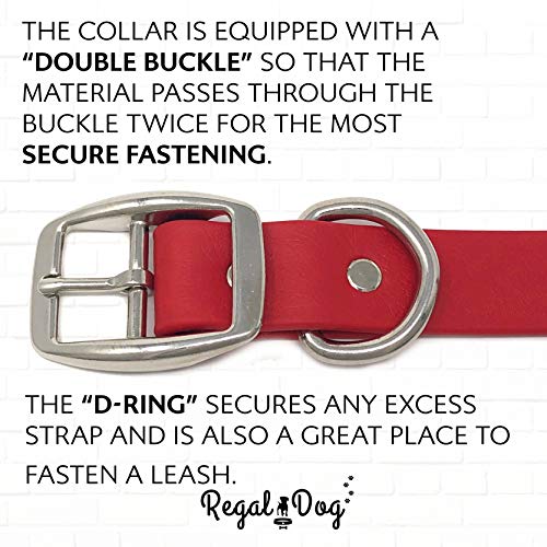 Regal Dog Products Small Red with Custom Engraved Waterproof Dog Collar and Leash Set | Waterproof Dog Collar with D Ring | Center Ring & 5'ft Leash | Matching Dog Collar and Leash for Dogs