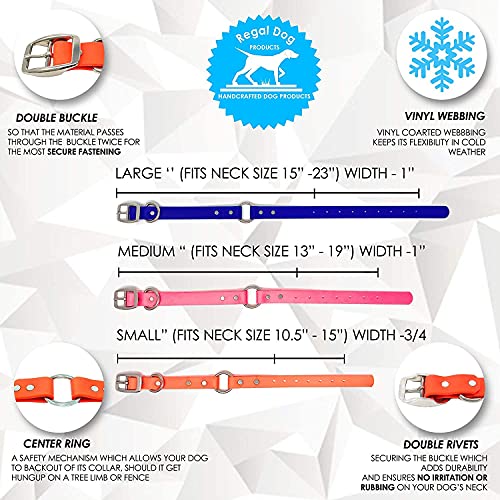 Regal Dog Products Small Red with Custom Engraved Waterproof Dog Collar and Leash Set | Waterproof Dog Collar with D Ring | Center Ring & 5'ft Leash | Matching Dog Collar and Leash for Dogs