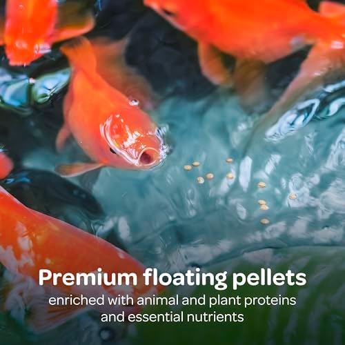 Kaytee Koi's Choice Koi Floating Fish Food, 10 Pound