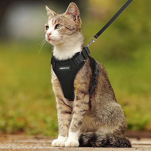rabbitgoo Cat Harness and Leash for Walking, Escape Proof Soft Adjustable Vest Harnesses for Cats, Easy Control Breathable Reflective Strips Jacket, Black, M
