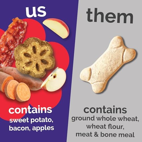Fruitables Skinny Mini Dog Treats, Healthy Sweet Potato Treat for Dogs, Low Calorie & Delicious, Puppy Training, Free of Wheat, Corn and Soy, Made in the USA, Bacon and Apple Flavor, 12oz