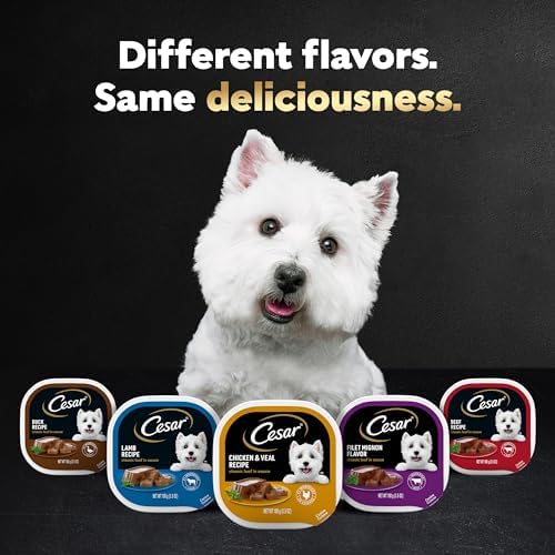 Cesar Wet Dog Food Classic Loaf in Sauce Filet Mignon Flavor, 3.5 oz. Easy Peel Trays (24 Count, Pack of 1)