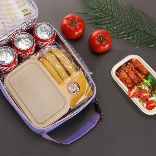 Lunch box Lunch bag for men women Insulated Lunchbox Lunch bags for Work Picnic Travel (Purple)