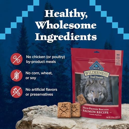 Blue Buffalo Wilderness Trail Treats Crunchy Dog Biscuits, Grain-Free and High-Protein Dog Treats Made with Natural Ingredients, Salmon Recipe 24-oz Bag