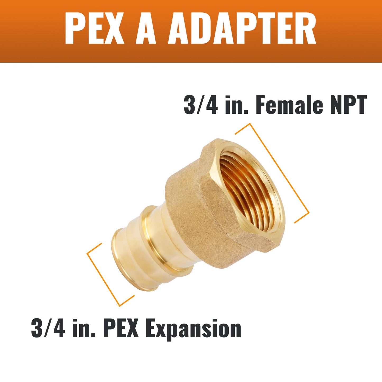 SUNGATOR 6 Pack 3/4" Pex A Expansion Female NPT Adapter Brass Fitting, No Lead Brass, ASTM F1960 ONLY For Pex-A Tubing