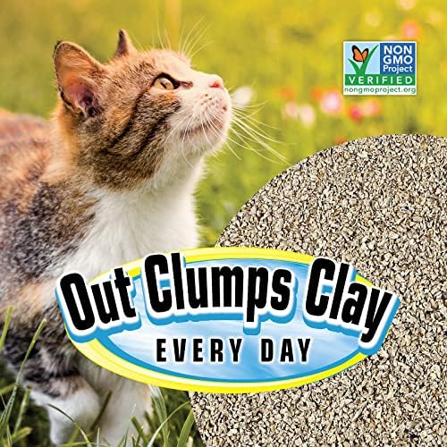SmartCat All Natural Clumping Cat Litter, 20 Pound (320oz 1 pack) - Alternative to Clay and Pellet Litter - Chemical and 99% Dust Free - Unscented and Lightweight