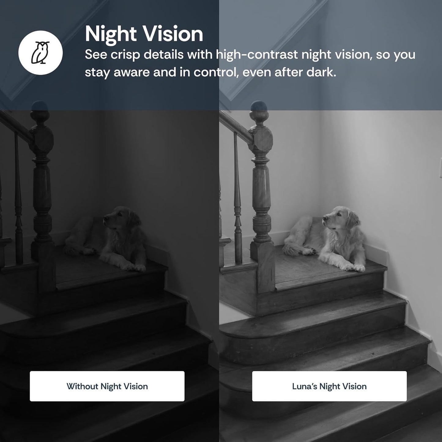 Luna Cameras for Home Security Indoor, Advanced AI Motion Detection, 360° Pan/Tilt, Plug-in, Night Vision, 2.4GHz Wi-Fi, 2-Way Audio, Nanny Pet Dog Camera with Phone App (Black)
