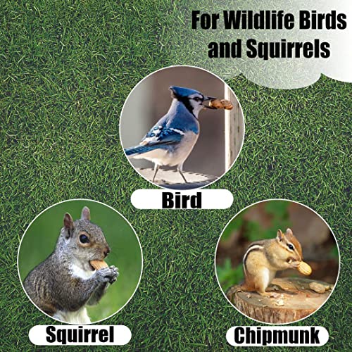Old Potters Wildlife in-Shell Peanuts for Birds, Squirrels and Wildlife. USA Grown Non-GMO Raw in-Shell Peanuts (in-Shell, 8 lbs)