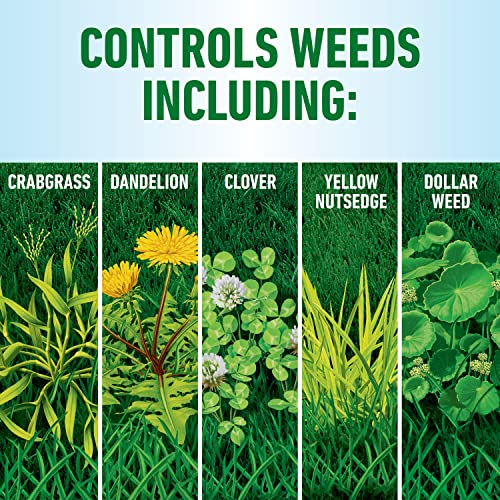 Roundup for Lawns₁ Ready-to-Use with Extend Wand, Tough Weed Killer for Use on Northern Grasses, 1.33 gal.