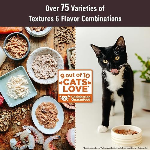 Wellness CORE Signature Selects Flaked Adult Wet Cat Food, Natural, Protein-Rich, Grain Free, 2.8 Ounce, 12 Pack (Skipjack Tuna & Wild Salmon)