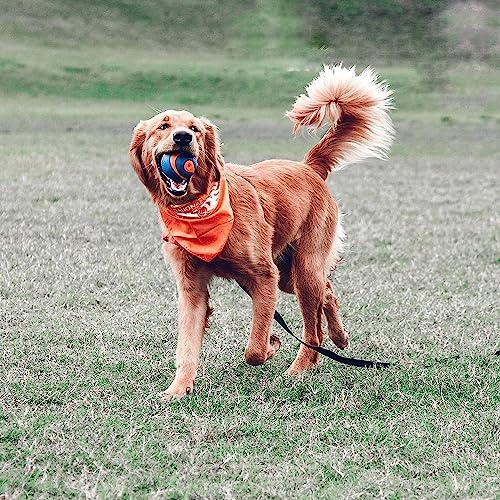 Chuckit! Ultra Squeaker Ball Dog Toy, Large (3 Inch) 1 Pack, for Large Breeds