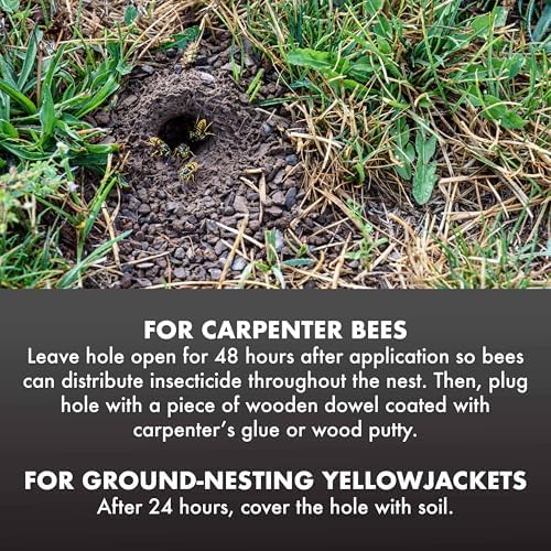 Spectracide Carpenter Bee And Ground-Nesting Yellowjacket Killer Foaming Aerosol 16 Ounce (Pack of 12), Expands To Where Insects Live