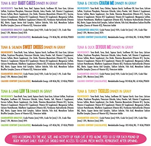 Weruva B.F.F. OMG - Best Feline Friend Oh My Gravy!, Rainbow A Gogo Variety Pack! Cat Food, 3oz Pouch (Pack of 12)