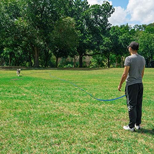 Hi Kiss Dog/Puppy Obedience Recall Training Agility Lead - 15ft 20ft 30ft 50ft 100ft Leash Great for Training, Play, Camping, or Backyard Black