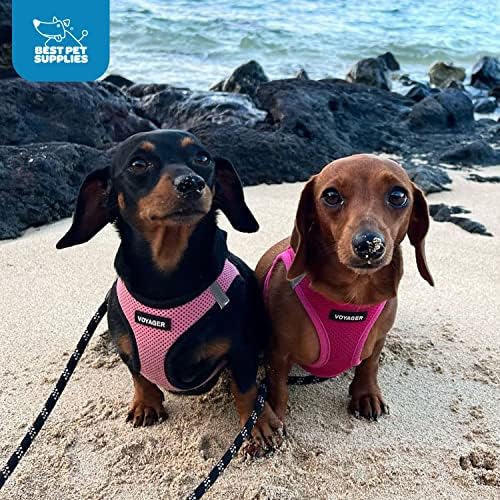 Best Pet Supplies Voyager Step-in Air Dog Harness - All Weather Mesh, Reflective, No Pull Harness for Small, Medium Dogs, Cats - Secure with Hook & Loop Fastener, Buckle, Double D-Rings - Fuchsia, M