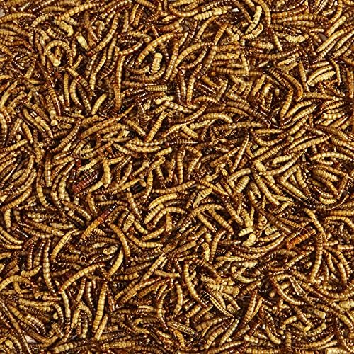 Kaytee Wild Bird Food Mealworms For Bluebirds, Wrens, Robins, Chickadees, Woodpeckers, Cardinals & Chickens, 2 Pound