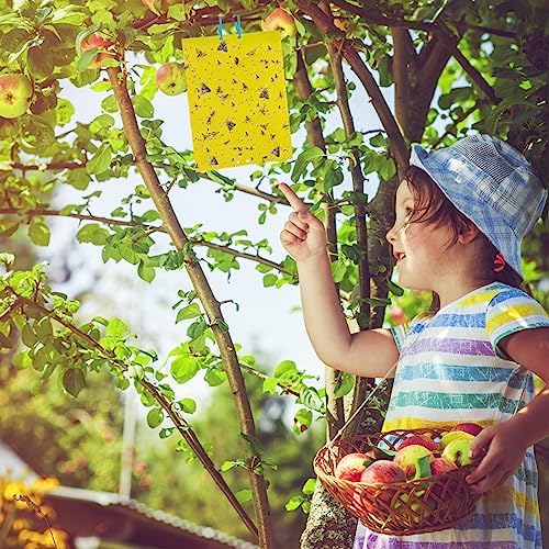 Dwcom 60 Pack Yellow Sticky Traps for Gnats Fruit Fly Traps for Indoors, Fungus Gnat Traps for House Indoor Fly Paper Indoor for Gnats Killer Indoor Trap
