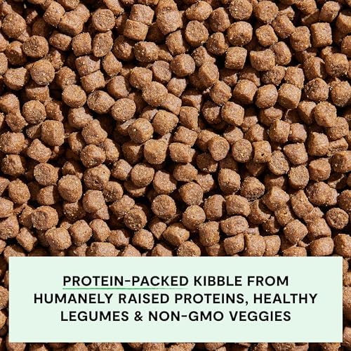 Open Farm, Grain-Free Dry Dog Food, Complete & Balanced Kibble, Sustainably & Ethically Sourced Ingredients, Non-GMO Veggies & Superfoods to Support Overall Health, Grass-Fed Beef Recipe, 22lb Bag