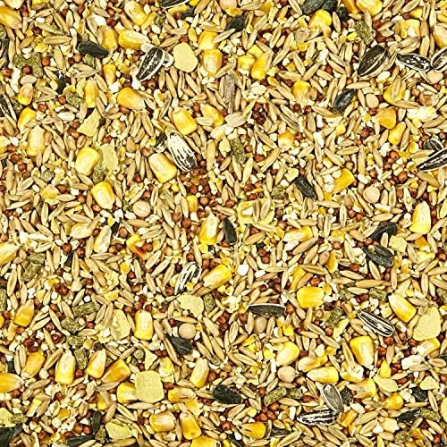 Kaytee Backyard Wildlife Food Blend for Wild Squirrels, Chipmunks, Rabbits and Other Backyard Wildlife, 5 Pound (Pack of 2)