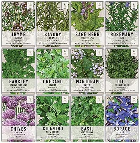 Seed Needs, Culinary Herb Seed Packet Collection Seed Starting Bundle (Includes 12 Individual Seed Packets, 36 Starter Pots & 1 Expandable Coco Coir Brick) Heirloom, Non-GMO, Untreated