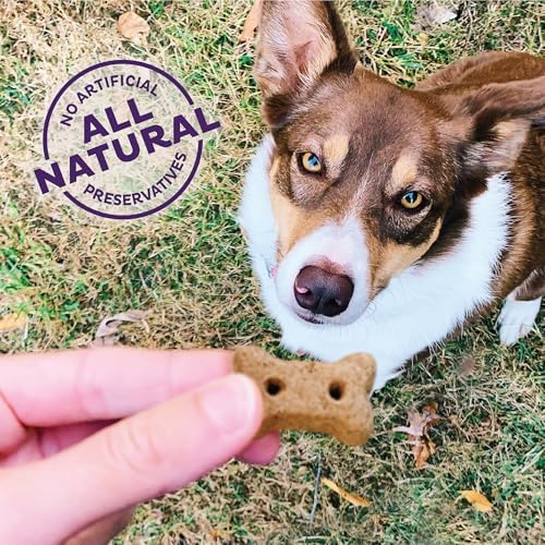 Old Mother Hubbard by Wellness Classic Original Mix Natural Dog Treats, Crunchy Oven-Baked Biscuits, Ideal for Training, Mini Size, 3.8 pound bag