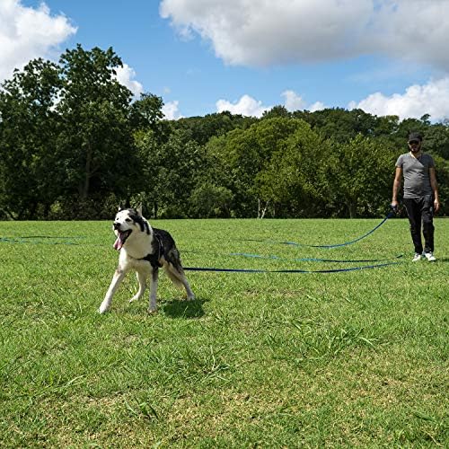 Hi Kiss Dog/Puppy Obedience Recall Training Agility Lead - 15ft 20ft 30ft 50ft 100ft Leash Great for Training, Play, Camping, or Backyard Black