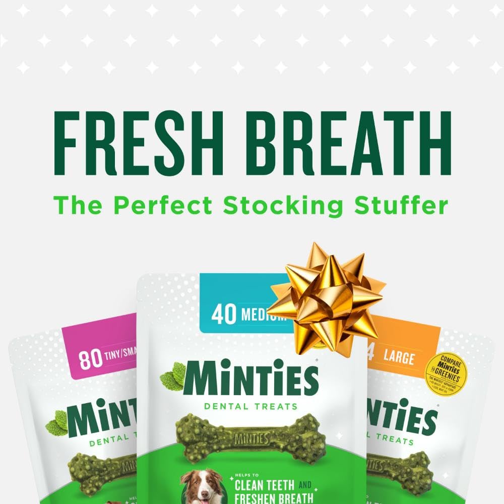 Minties Dental Chews for Dogs, 60 Count, Vet-Recommended Mint-Flavored Treats for Medium Dogs 25-50 lbs, Bones Clean Teeth, Fight Bad Breath, and Removes Plaque and Tartar