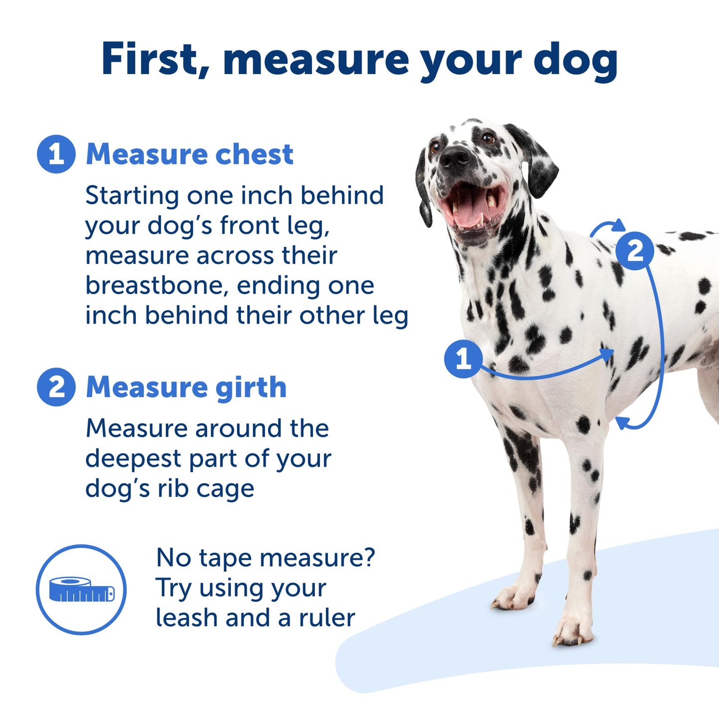 PetSafe Easy Walk No-Pull Dog Harness - The Ultimate Harness to Help Stop Pulling - Take Control & Teach Better Leash Manners - Helps Prevent Pets Pulling on Walks, Medium/Large, Black/Silver