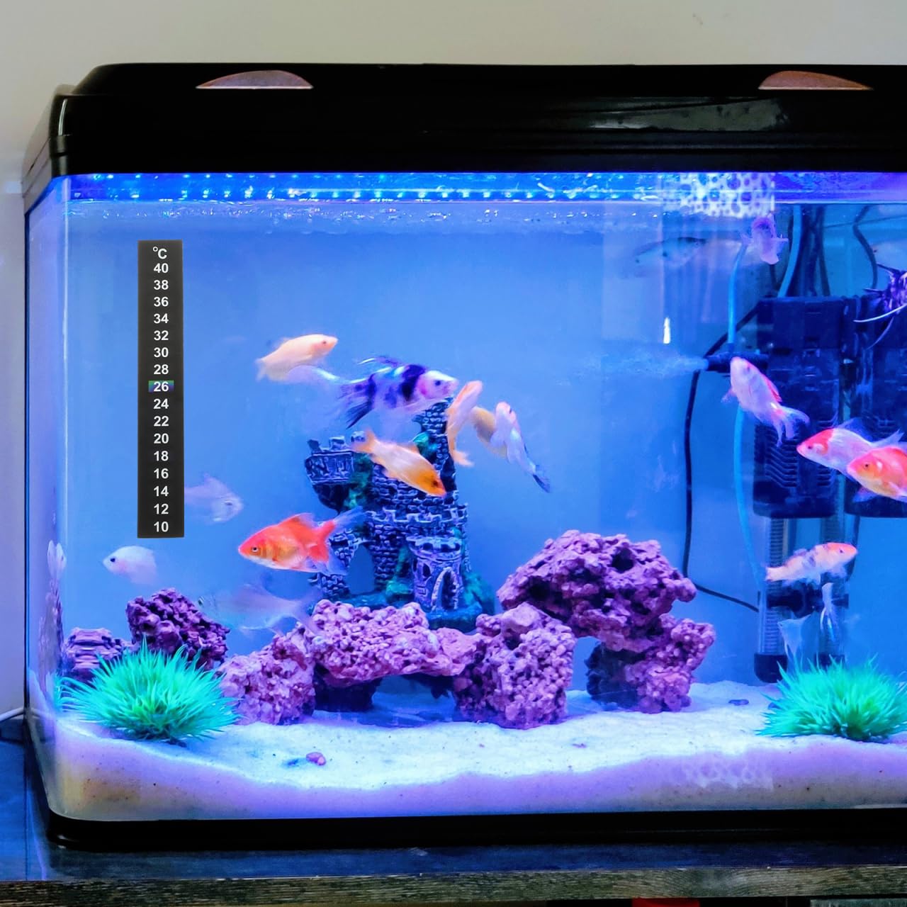 FRCOLOR 30Pcs Aquarium Thermometer Indoor Fish Tank Thermometer Sticker Discoloration Liquid Crystal Temperature Strips Adhesive Home Use