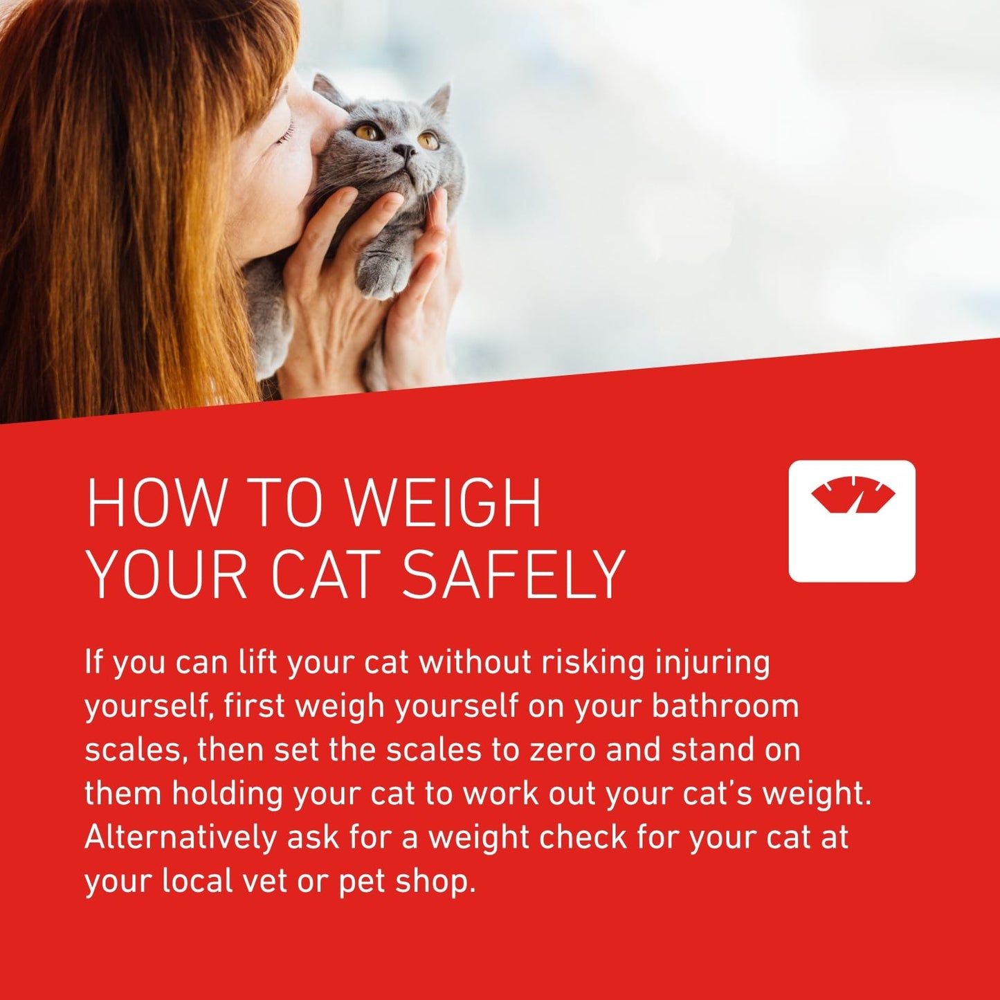 FRONTLINE WORMER - Cat Worming Treatment - 2 Tablets
