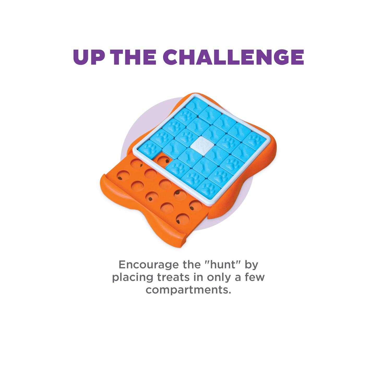 Outward Hound by Nina Ottosson Challenge Slider Treat Puzzle Enrichment Toy, Level 3 Advanced, Multicolored