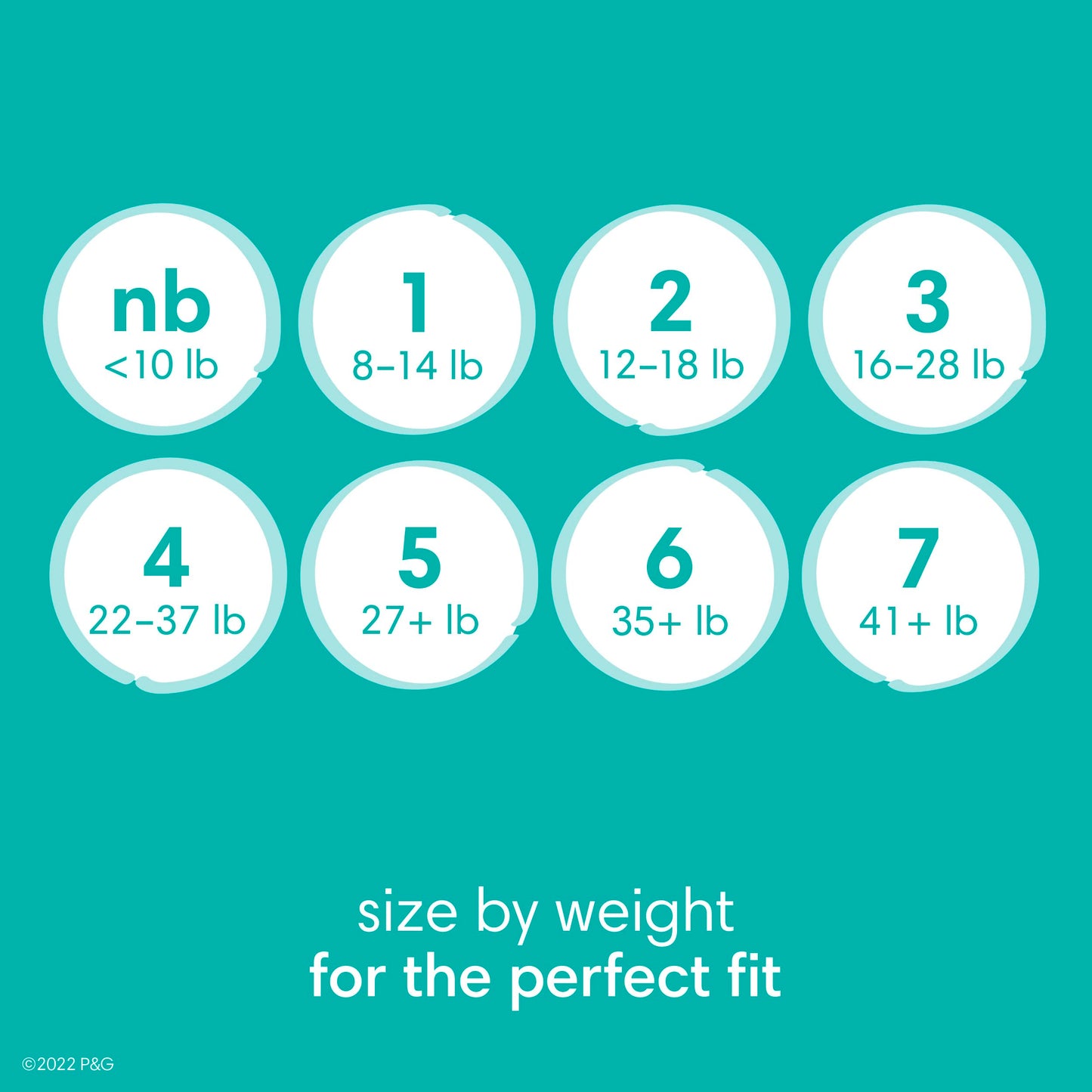 Pampers Diapers - Baby Dry - Size 5, 164 Count, Absorbent Disposable Infant Diaper (Packaging May Vary)