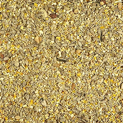 Kaytee Waste Free Blend Wild Bird Food, 10 Pound (Pack of 2)
