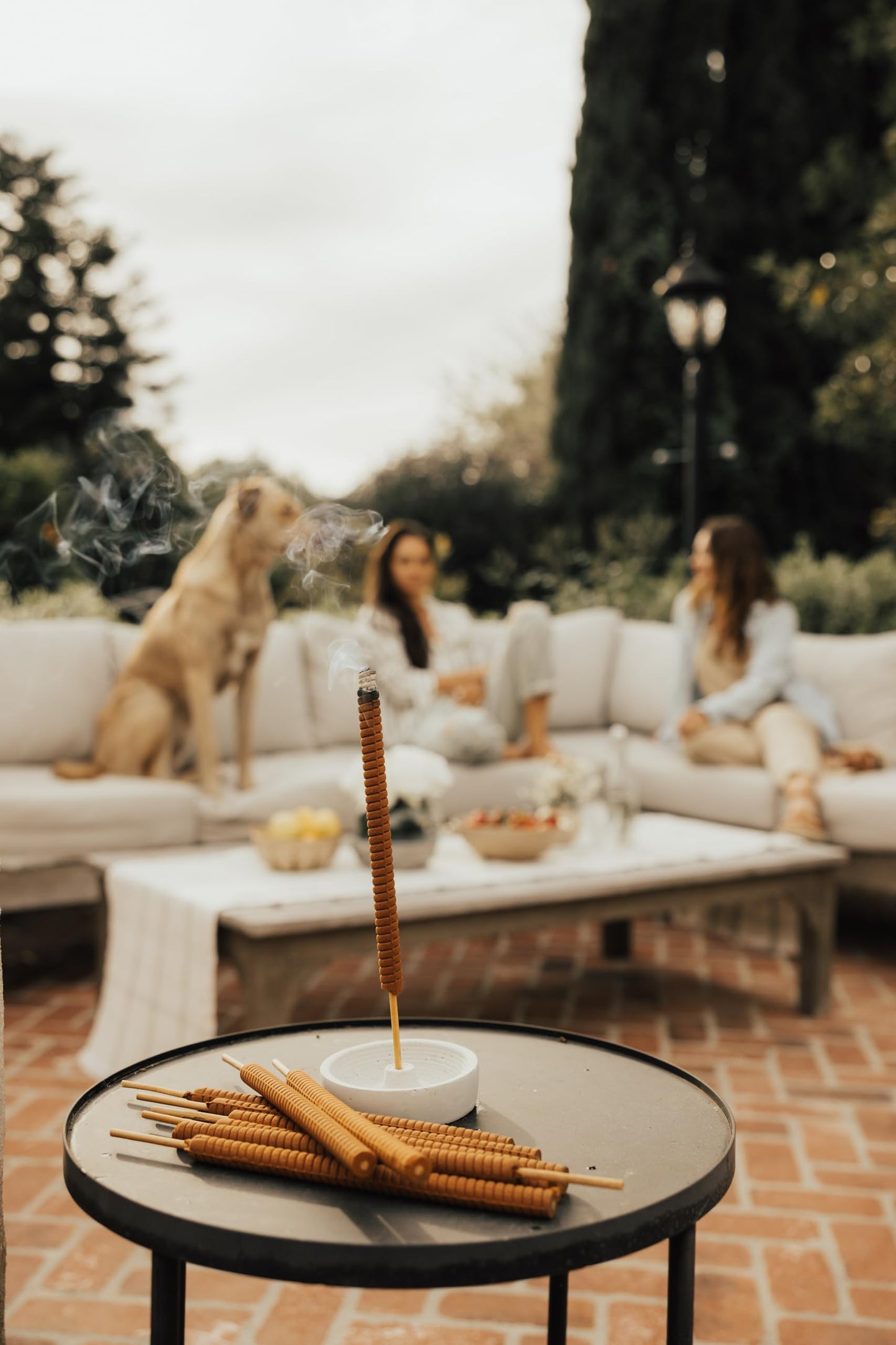 FRANK's SKEETER STICKS | Mosquito Repellent Incense Sticks, Proven, Clean Ingredients Citronella, Lemongrass, Rosemary, Peppermint oils. Perfect for Yard, Camping, Party. Each Stick Protects for 8hrs.