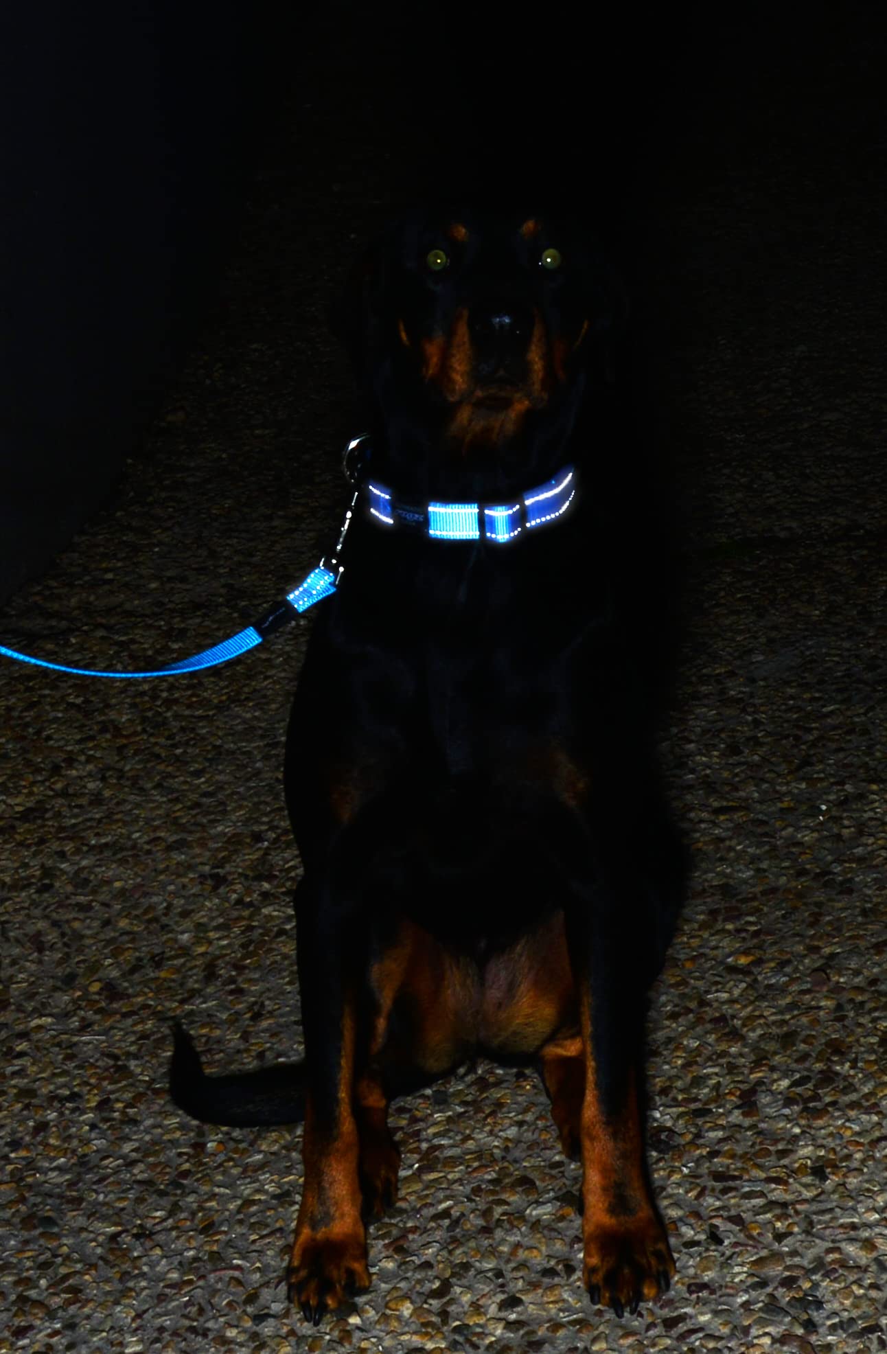 Reflective Dog Leash for Large Dogs, 3/4" wide, 6' long, Black